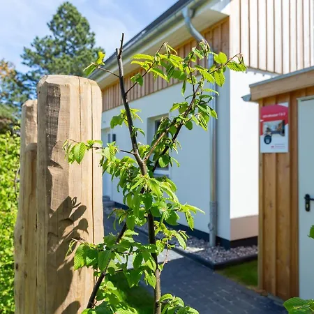 Windlooper 2 * Wieck